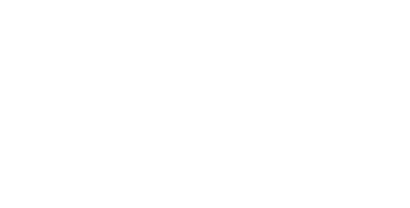 Elektrowerk Hopfgarten Logo weiß